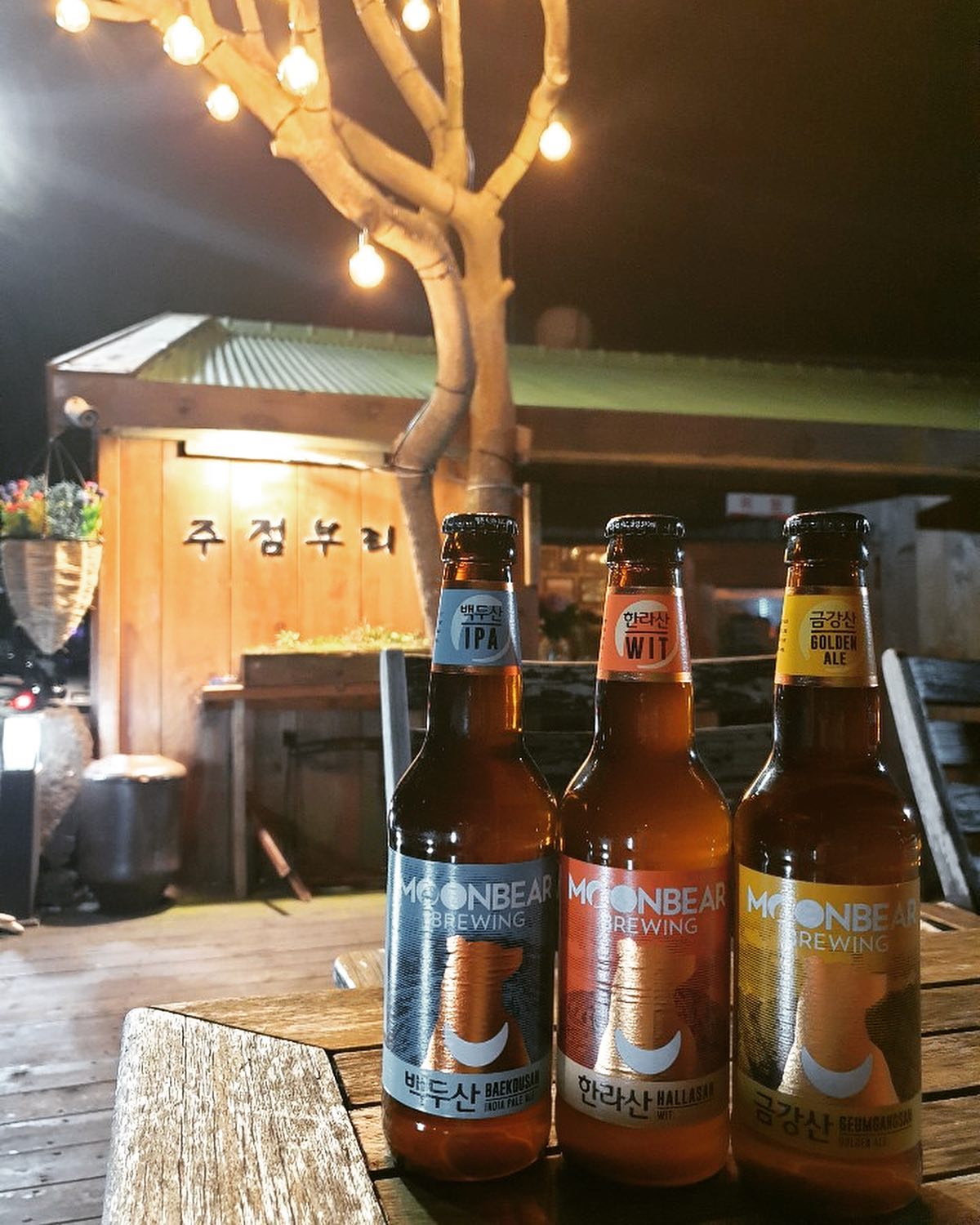 jeju seongsan jujeomburi craft beer night